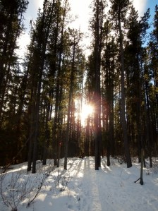 November 2013 011 (599x800)